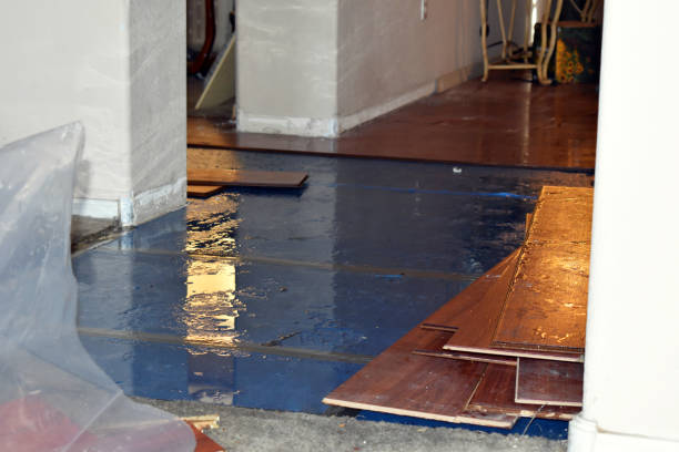 Professional Water Damage technician working in Brockton, PA